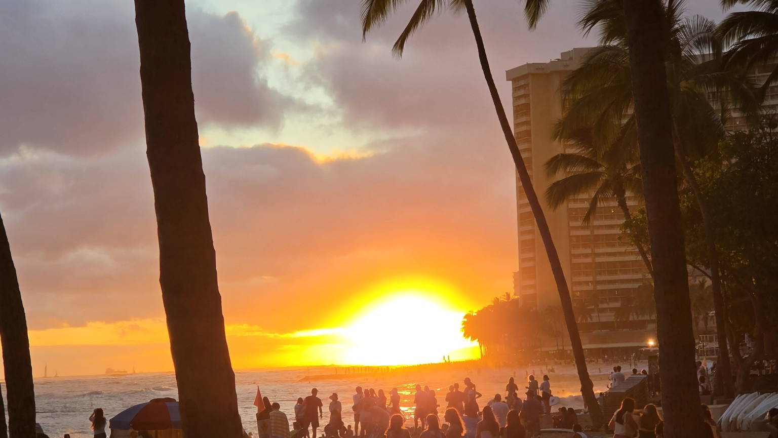 A glowing Waikiki sunset framed by palm trees